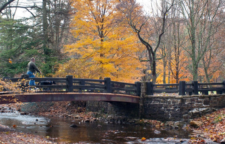 Caledonia State Park, Pennsylvania, USA